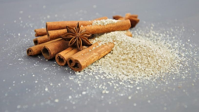 Natural Ant Repellent: 4 Quick Ways to Kill the Annoying Ants Naturally